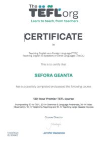 Teacher of English as a Foreign Language Certificate